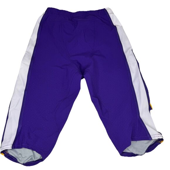 Minnesota Vikings NFL Nike Authentic Team Issued Purple Pants Size 32 CJ HAM #30 - Picture 6 of 12
